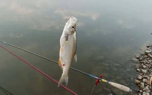 ̨�������������Щ���ɣ�