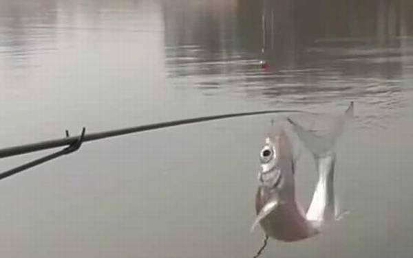 ����������Ҫ������