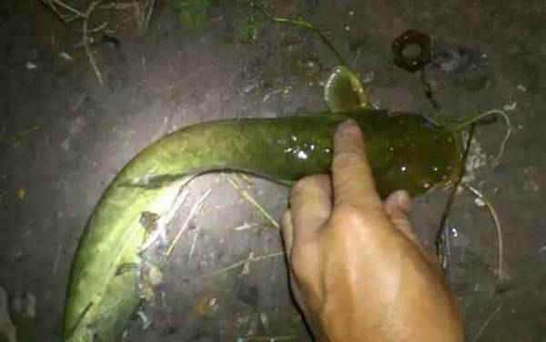 ����������ɼ�ע������