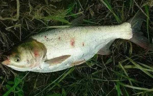 ����Ư��ھ������ʱ��