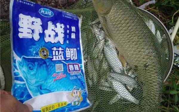 �������ܶ�������Щ����6�ֶ��ϣ����ʺ����鸴�ӵ�Ұ����