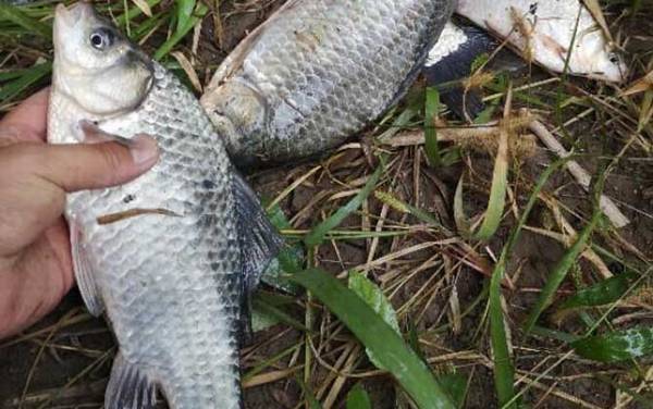 �������_���ż���_������ѧ_�������