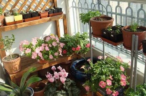��̨���ܵ�Խ�����ɺ�ע������