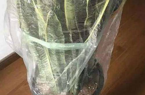 ��̨���ܵ�Խ�����ɺ�ע������