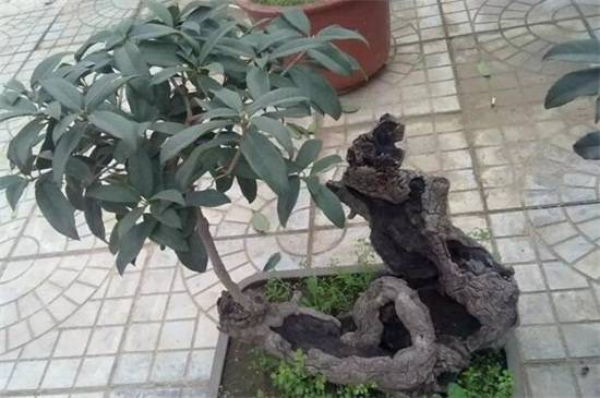 �����ķ�ˮ���ɣ�4���ط�ǧ����