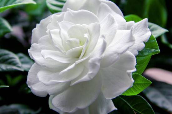 ���ӻ��������������� �ܲ��ܷ�����
