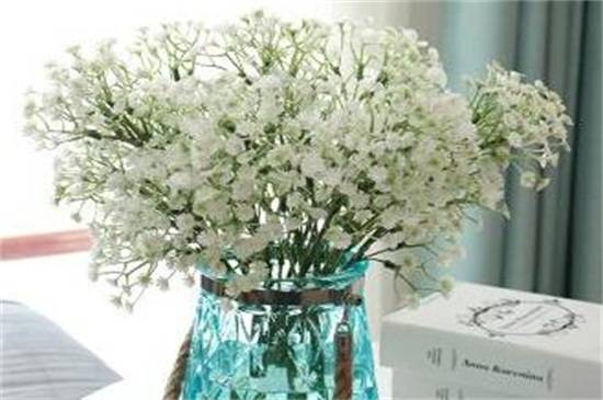 �����Ƿ���ˮ���ܿ���ã������Ǳ�����������