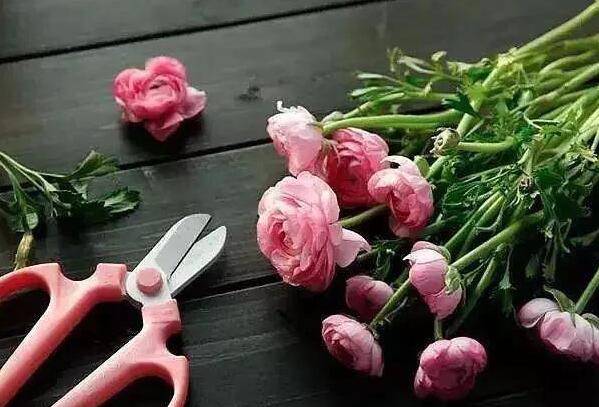 ���ֵ�һ�β廨Ҫ�ѻ�,ʲô���ѻ���ôŪ