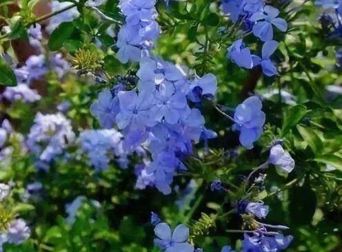�ļ����ܷ����µ��Ĵ���������