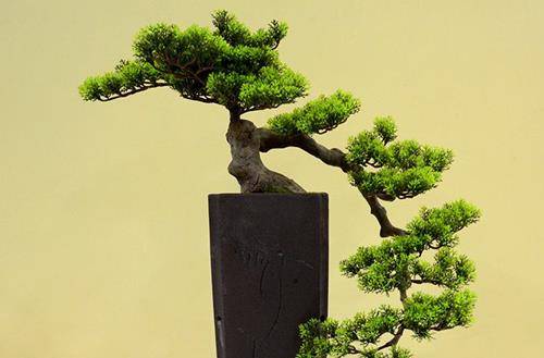 �������辰��ô�޼����� �������辰��������