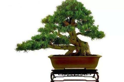 �������辰��ô�޼����� �������辰��������