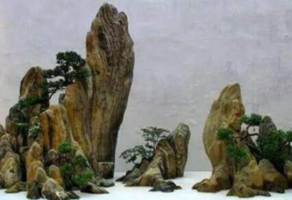 ɽˮ�辰��ô������