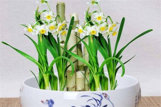 ˮ�ɻ���ôˮ�ࣿˮ�ɻ���ˮ�෽��������Ҫ��