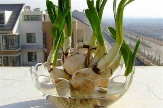 ˮ�ɻ���ôˮ�ࣿˮ�ɻ���ˮ�෽��������Ҫ��