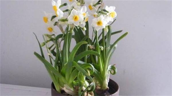 ˮ�ɻ���ôˮ�ࣿˮ�ɻ���ˮ�෽��������Ҫ��