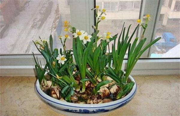 ˮ�ɻ���ˮ������