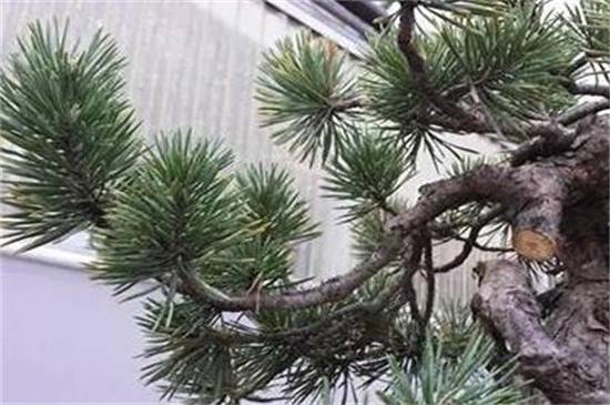 �̵��й�ʮ���������࣬���й���������Щ_��������̵��й�ʮ��