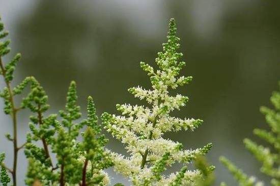 ����ר�û������¸�����ô����