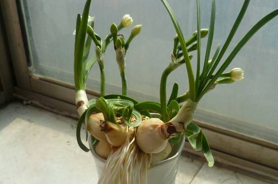 ˮ�ɻ�������ô��