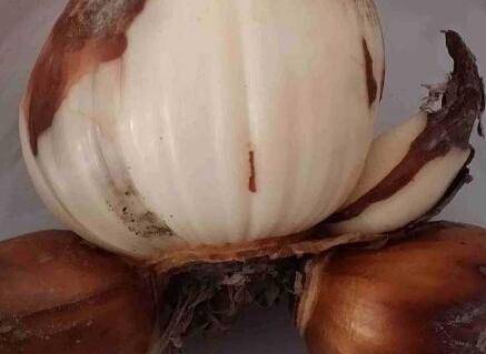 ˮ�ɻ�������ô��