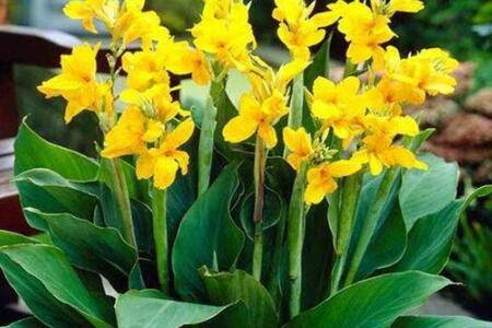 �ӳ����˽����ڵķ���