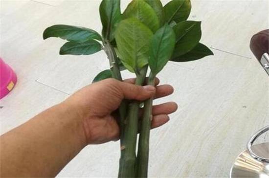 ��Ǯ��̫����ô�޼���������