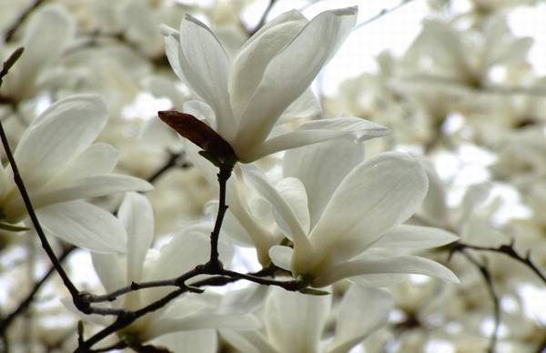 �������ӳ�����ʱ�� ����ǰ����������