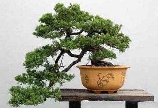 �辰�ļ���ô�� 6������������֪