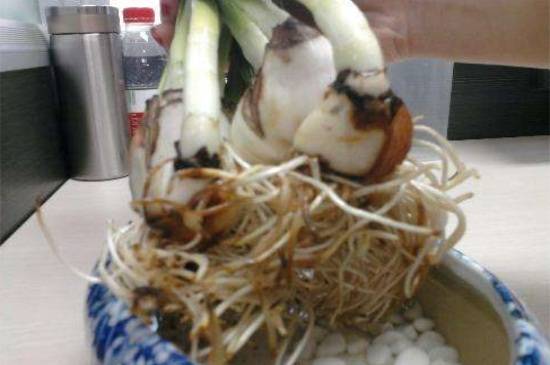 ˮ�ɻ��ø��������ܾ����޸���������