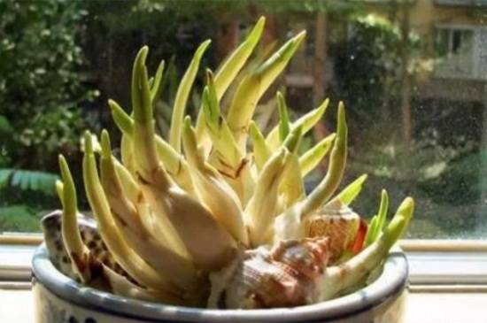 ˮ�ɻ��ø��������ܾ����޸���������