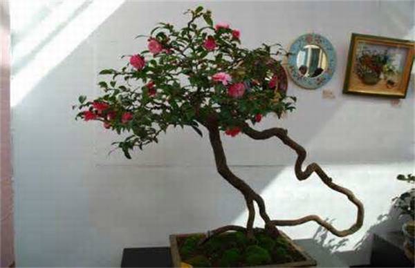 �軨������ֳ���� ��������Ҫ��ע��