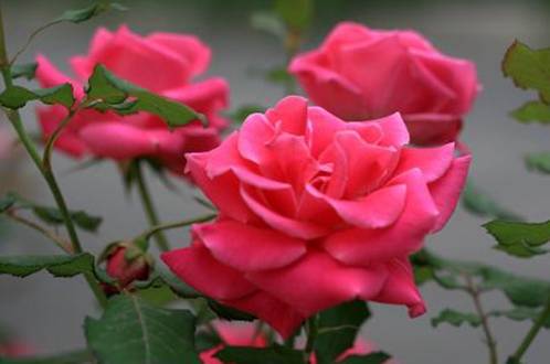 �¼����＾��ô��ˮʩ�ʣ�����3���ؼ�