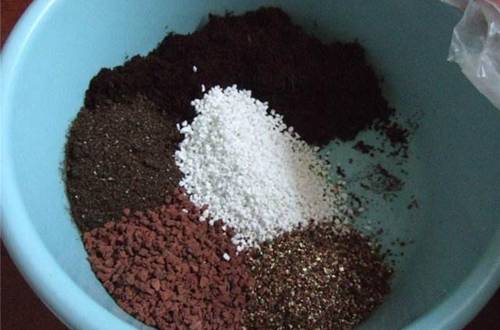 �������Ļ���ʱ��ͻ�������