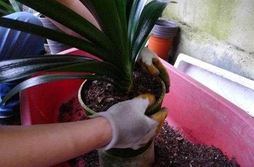 �������Ļ���ʱ��ͻ�������