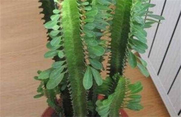 ���ǻ��೤ʱ�佽ˮһ�� �ļ���ˮ������ע������
