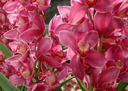 ��ޥ����������������