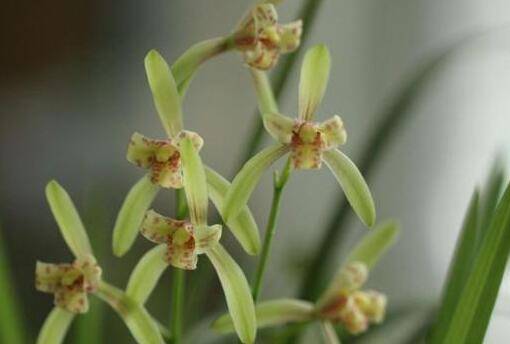 ����Ϊʲôһֱ������