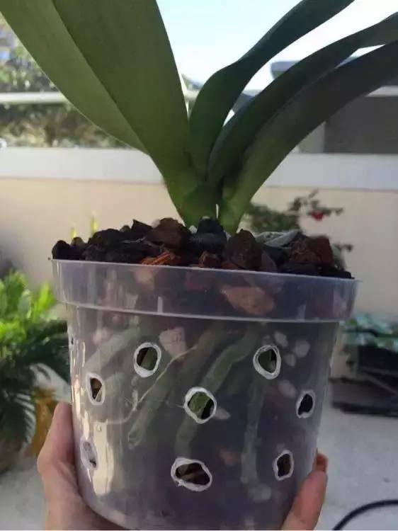 ������������������ǧ��Ҫ�����������ø�