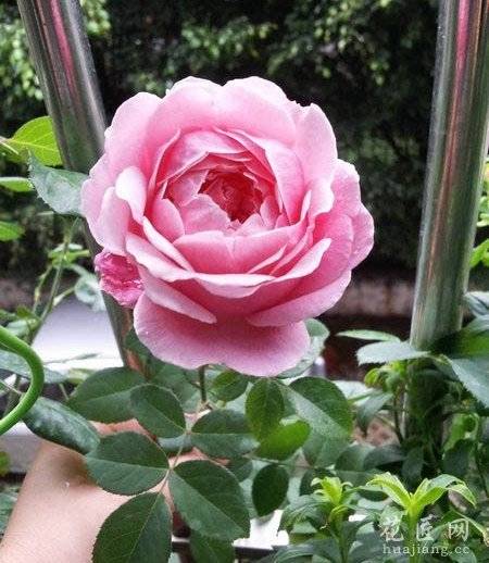 �¼�����ôǤ�壿����ʵ�������ĵ÷���