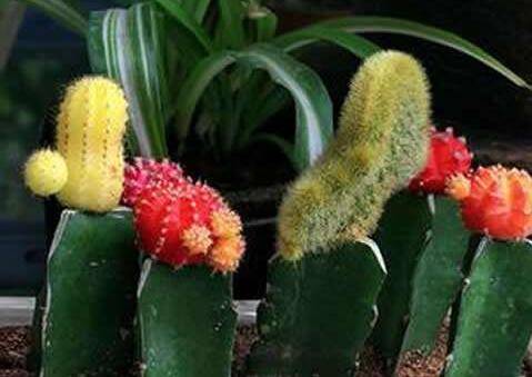 ������Ҫ��ô�޽ӣ�������ļ޽ӷ�������