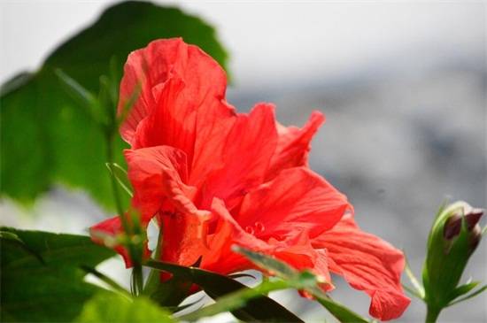 ���Է�ɣ������ֳ����