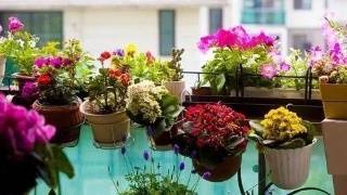 ˵˵���������ļ���ע������ ��ѻ�������