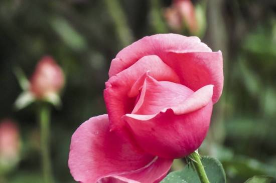 �¼�ˮ�����˻����� ��Ҫ֢״����˵��