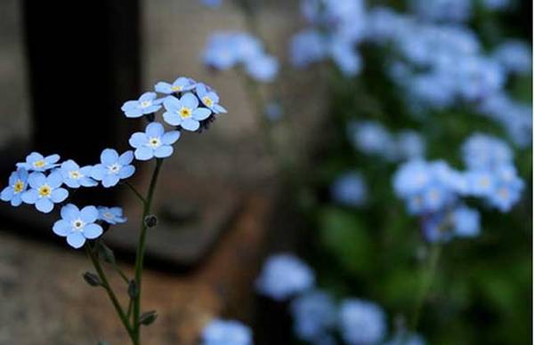 �����Һ����� �����ҵ���ֳ����