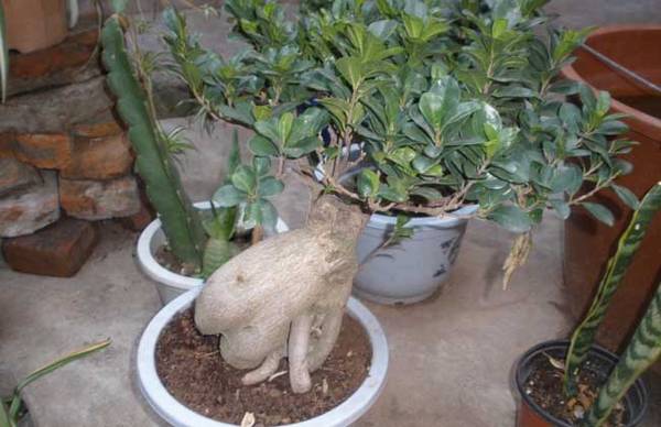 �����˲�����ô�� ������ע������