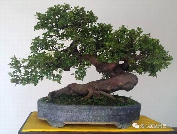�辰���»�����ʲô��˼���辰�����ַ����