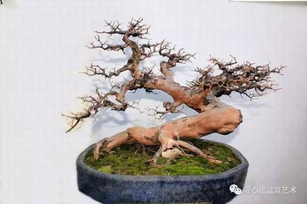 �辰���»�����ʲô��˼���辰�����ַ����