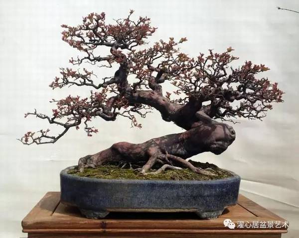 �辰���»�����ʲô��˼���辰�����ַ����