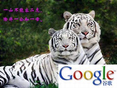 ˫��ͷ�ܹ����ǹȸ������