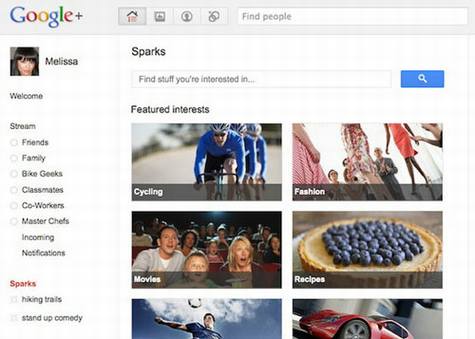 Google+��Google��Facebook���ռ���ɱ